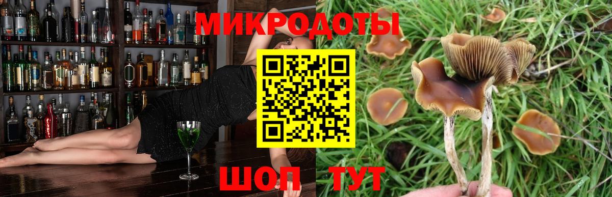 Галлюциногенные грибы ЛСД Ачхой-Мартан